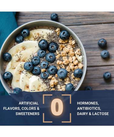 Gaspari Nutrition Proven Egg 100% Egg White Protein - Chocolate 2 lb (900g) | High Quality Protein Supplement - Buy Online on GoSupps.com