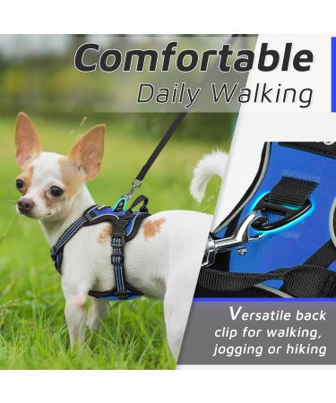 Buy Eagloo Anti-Train Dog Harness for Small Dogs - Adjustable Durable Reflective Strips for Walking & Jogging - XS Blue (1 Pack) - Buy Online on GoSupps.com