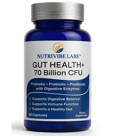 NUTRIVIBE LABS 6-in-1 Gut Health 70 Billion CFU 10 Strains Probiotics Prebiotics Postbiotics Digestive Enzymes + L-Glutamine & Zinc Supports Digestion & Immunity Delayed Release 60 Capsules