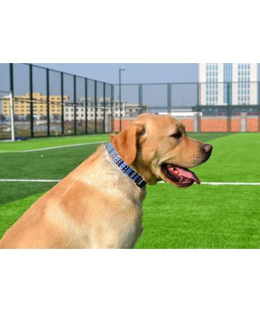 Mihqy Adjustable Dog Collar - Soft & Comfortable Bohemian Blue Design for Small Medium & Large Dogs (XS: Neck 20-30 cm) - Buy Online on GoSupps.com