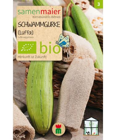 Organic cucumber (Luffa Aegyptiaca)