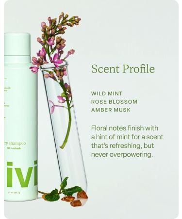 Divi Dry Shampoo Spray for Women - Oil Absorbing Scalp Balancing Formula Talc-Free 5.3oz - Extend Time Between Washes - Buy Online on GoSupps.com