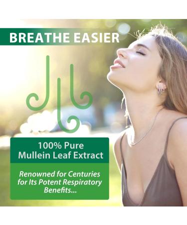 Mullein Leaf Extract for Lungs, Mullein Drops for Lungs with Chrolophyll, Support Lung, Respiratory Function for Healthy Breathing, Improvement in Pulmonary Function,Natural & Safe Supplement(1 PC) 2.02 Fl Oz (Pack of 1) - Buy Online on GoSupps.com