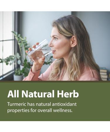 Tattva's Herbs Turmeric Curcumin with Black Pepper Supplement Turmeric Capsules Antioxidant Support 2 Pack 240 Count from 120 Count (Pack of 2) - Buy Online on GoSupps.com