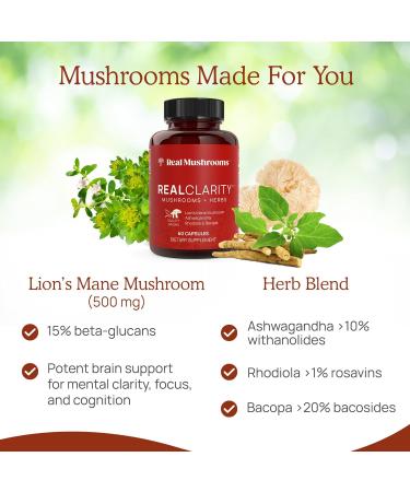 Real Mushrooms RealClarity (60ct) & Lions Mane (120ct) Capsules w/Cordyceps Powder Bundle - Mushroom Supplement for Mental Clarity Focus Cognition Energy & Vitality - Vegan Non-GMO - Buy Online on GoSupps.com