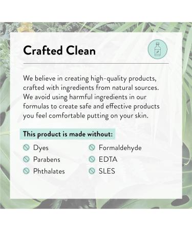 J.R. Watkins Ocean Breeze Foaming Hand Soap 9 fl oz - Pack of 3 | Made in USA, Cruelty Free | Ideal for Bathroom or Kitchen - Buy Online on GoSupps.com