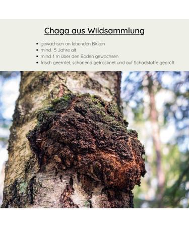 Organic Chaga Mushroom - Wild Collection from Finland - 100g for Chaga Tea - Natural Untreated & Pollutant-Free - Buy Online on GoSupps.com