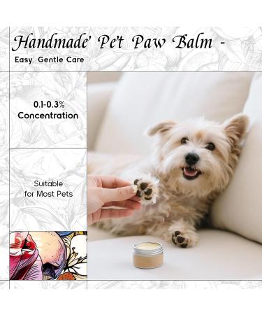 HIQILI 100ML Peppermint Essential Oil & 150ML Feral Rose Fragrance Oil for DIY Diffuser - Buy Online on GoSupps.com