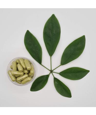 Moringa 200 Capsules 500 mg 100% Vegetable Envelope - Food Supplement