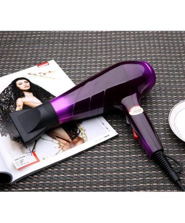 Hair Dryer Professional Ionic Hairdryer 1800W Home Fast Drying Blow Dryers 3 Heat 2 Speed Settings Low Noise DC Motor with Nozzle for Household Student Dormitory Purple Small Gift - Buy Online on GoSupps.com