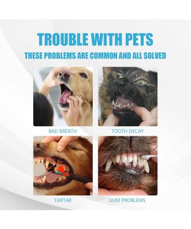 Dog Toothpaste - Pet Dental Care Toothpaste Dog Teeth Cleaning and Fresh Breath Dental Care Gel 2 oz Oral Care Mint Toothpaste for Pet - Buy Online on GoSupps.com