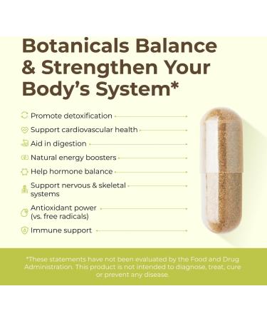 Intra Lifestyles Capsules - Herbal Supplement for Immune Support Detox Digestive & Cardiovascular Health 23 Botanical Extracts Made in Canada 64 Capsules (64 Capsules (Pack of 1)) 64 Count (Pack of 1) - Buy Online on GoSupps.com