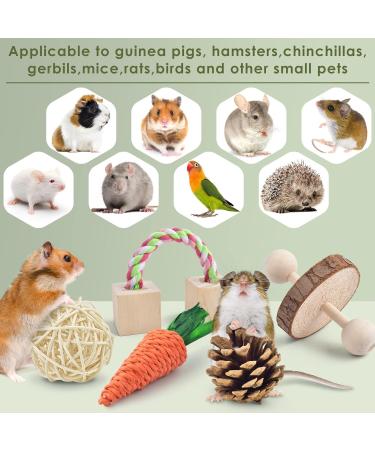 ERKOON Hamster Chew Toys 13 Pack Gerbil Toys Natural Wooden Small Animal Toys Teeth Care Molar Toy Boredom Breaker Treats Dumbbells Exercise Bell Roller for Rat Guinea Pig Chinchilla Rabbits - Buy Online on GoSupps.com