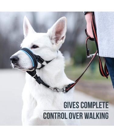 Goodboy Dog Halter - Stop Heavy Pulling Padded Leash for All Sizes - Includes Training Instructions - Size 2 Black Nylon Blue Push - Buy Online on GoSupps.com