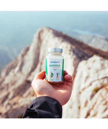 NUTRI & CO The Booster Powerful Anti-Fatigue Caffshock Caffshock Caffshock 400 mg (Green Coffee + Guarana + Green Tea + Mate) & Panax White Ginseng Energy & Concentration 40 Vegan Capsules  - Buy Online on GoSupps.com