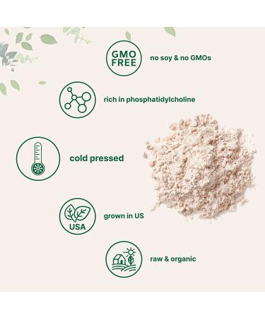 Sustainably Farmed Organic Sunflower Lecithin Powder 1lb - Cold Pressed, Rich in Phosphatidyl Choline & Protein - Ideal for Liposomal Vitamin C & Lactation - Non-GMO - Buy Online on GoSupps.com