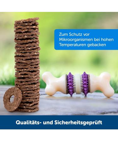 PetSafe Busy Buddy Rawhide Chew Rings for Dogs - 16 Pieces (120g) - Ideal for Snack Ring Toys - International Shipping Available - Buy Online on GoSupps.com