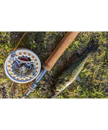 Kylebooker Fly Fishing Reel Large Arbor - Aluminum Body - 3/4wt 5/6wt 7/8wt - Silver - International Shipping Available - Buy Online on GoSupps.com