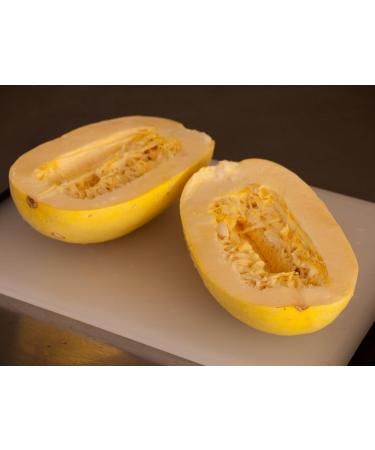 Squash Spaghetti vegetariani 15 semi - Buy Online on GoSupps.com