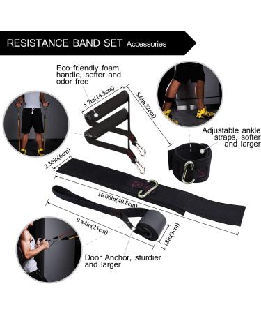 TheFitLife Exercise Resistance Bands - 5 Stackable Fitness Workout Bands up to 300lbs - Handles, Ankle Straps, Door Anchor, Carry Bag - Buy Online on GoSupps.com