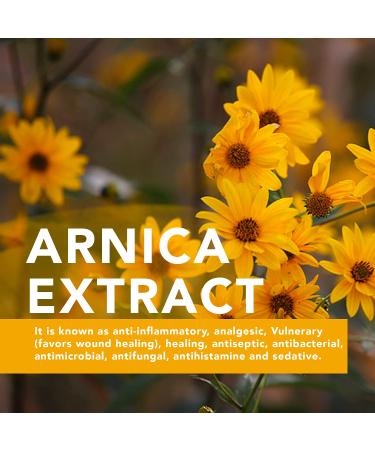 Yoffee Arnika Relaxation Gel Roll-On & Massage Scooter 2-in-1 | Vegan Pain Relief for Back & Neck - 90ml Made in Spain - Buy Online on GoSupps.com