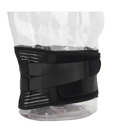 Back Support Prevents Slipping 6 Stays Strong Vertical Support 4-Way Stretch Breathable Lumbar Support Belt for Lumbar Prevents Injury (L) Large - Buy Online on GoSupps.com