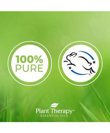 Buy Plant Therapy Meditation Essential Oil Blend 30 mL - 100% Pure Undiluted Therapeutic Grade for International Shipping - Buy Online on GoSupps.com