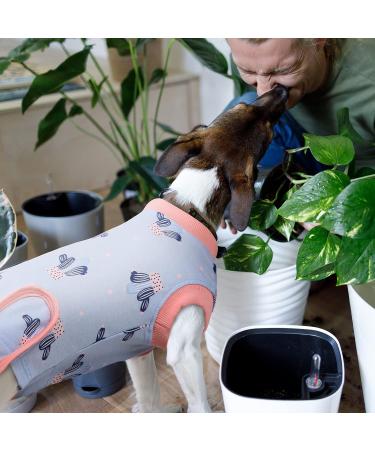 Recovery Suit for Dogs | Postoperative Wound Protection & Anti-Licking Clothing (XS Blue Cactus) - Ideal for Puppies - Buy Online on GoSupps.com