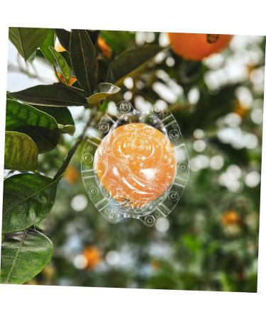 VINTORKY Shaped Growth Fruit for Shaping Reusable Forming Shaper Melon Ginseng Watermelon - Buy Online on GoSupps.com