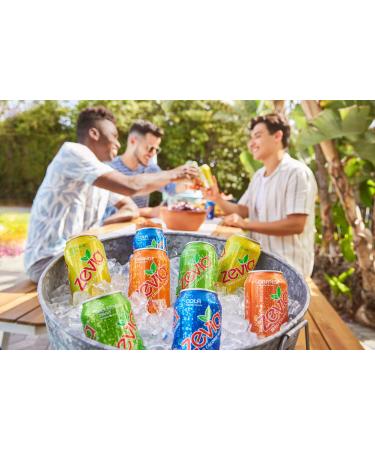 Zevia Zero Calorie Soda Rainbow Variety Pack - 24 Pack of 12 oz Cans - Buy Online on GoSupps.com