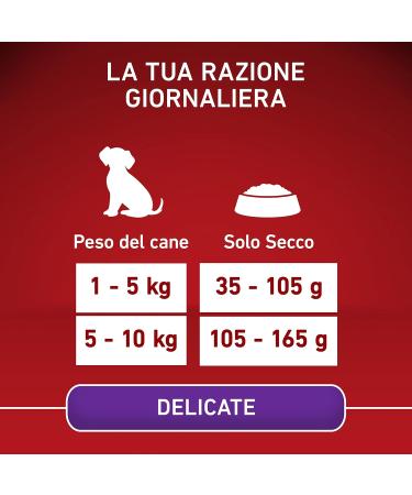 PURINA ONE Mini Small Delicate Adult Dog Food with Salmon and Rice 6 x 1.5 kg Bags - Buy Online on GoSupps.com