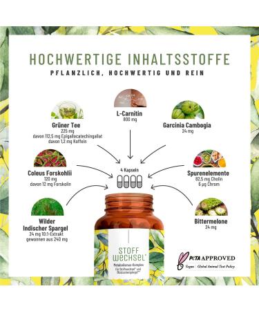 Metabolism Capsules Diet Support - High-Dose Vegan 120 Count with Green Tea Forskolin Choline & Garcinia Cambogia - Natural Loyal - Buy Online on GoSupps.com