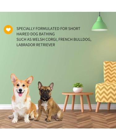 Nobleza Puppy Shampoo - Mild Almond & Honey - Itch Relief for Short-Haired Dogs (250ml) | Ideal for French Bulldogs & Pugs - Buy Online on GoSupps.com