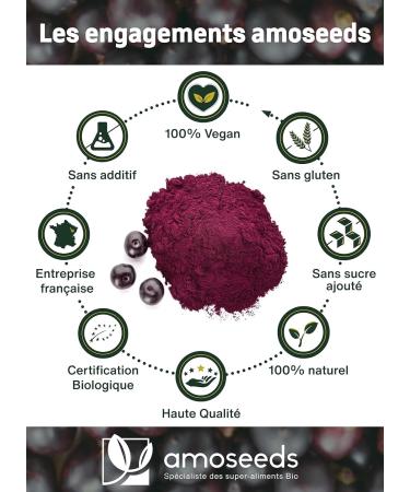 Organic Acai Powder 100G | Antioxidant Vitality | Superior Quality No Sugar Added - Buy Online on GoSupps.com