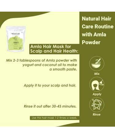 Mi Nature Amla Powder by mi nature| Amalaki or Indian Gooseberry |Vitamin C |454g (16 oz) | Non-GMO |Pure & natural | Raw Vegan Gluten-free | Made in India Preservatives free - Buy Online on GoSupps.com