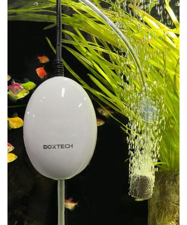 Buy Boxtech Aquarium Air Pump Kit - Bladder Stone Check Valve & Control Valve for 1-150L Aquariums - 1.7W Oxygen Pump - Buy Online on GoSupps.com