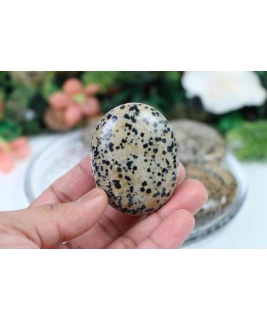 Buy Large Dalmatian Jasper Palm Stones - High-Quality Crystal Gemstones for Healing & Decor - Buy Online on GoSupps.com