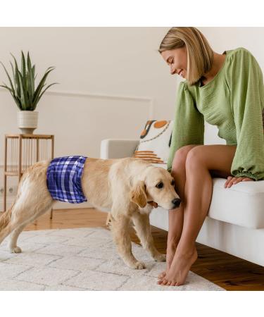 Buy Micoooyo Washable Belly Bands for Male Dogs | Reusable Dog Diapers | Adjustable Suctionable Wrap - XSmall 3-Pack (Red Blue Gray) - Fits Newborns 17.8-22.8cm Waist - Buy Online on GoSupps.com