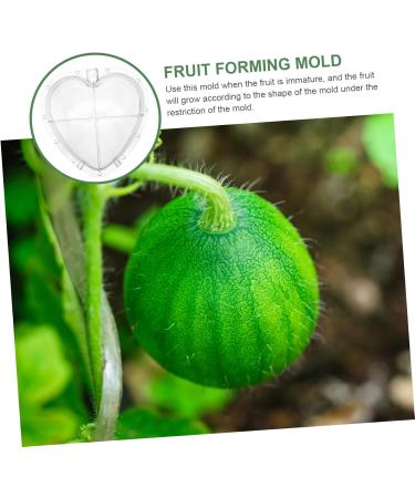 CIYODO Fruit Forming Mold Heart Shaped Watermelon Molds Square Watermelon Fruit Growth Tools Garden Tools Modeling - Buy Online on GoSupps.com