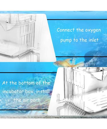 Fortune-Star Fish Breeding Box - Aquarium Hatchery Incubator & Breeder Tank - Buy Online on GoSupps.com