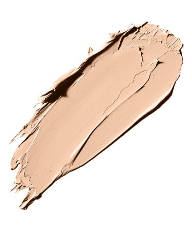 Elizabeth Arden Stroke Of Perfection Concealer Fair - Flawless Coverage - Buy Online on GoSupps.com