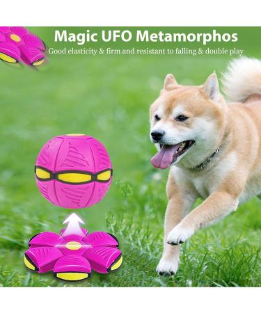 Vnklomes Flying Saucer Ball for Dogs - Interactive Frisbee Toy for Training & Play | Best Dog Toy for Fun & Exercise - Buy Online on GoSupps.com