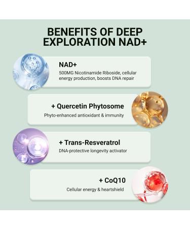 NAD+ Supplement Liposomal NAD Nicotinamide Riboside Resveratrol 1500 mg - Anti-Aging & Brain Health Improve Energy - Specifically for Women and Men 120 Capsules 120 Count (Pack of 1) - Buy Online on GoSupps.com