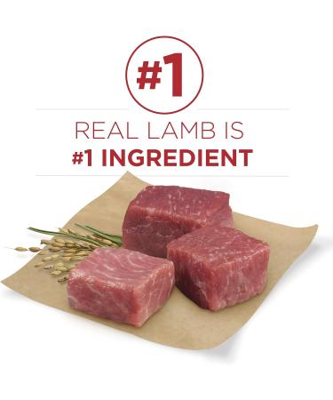 Purina ONE Smartblend Puppy Food | Large Breed Puppy Food + Puppy Food Dog Food + Puppy Food - Buy Online on GoSupps.com