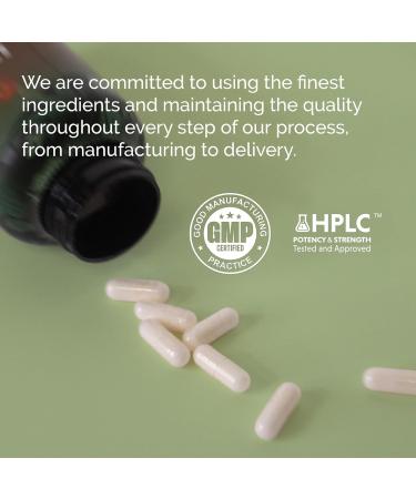 EarthNutri - Vitamin D3 Plus K2 Vitamin Supplement 5000 IU Includes K2 from MENA Q7 D3 from Vitashine Calcium from Aquamin & 72 Trace Minerals for Immune Bone & Heart Health - Non-GMO - Buy Online on GoSupps.com