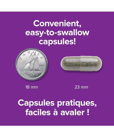 Webber Naturals St. John's Wort Extract Capsule 300 mg 90 Count - Buy Online on GoSupps.com