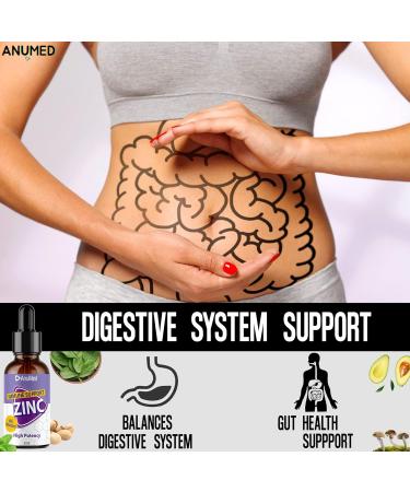 Anumed Natural Zinc Gluconate 15mg Liquid Drops - Immune System & Brain Support - Vegan & Non-GMO - 2 Packs of 2oz - Buy Online on GoSupps.com