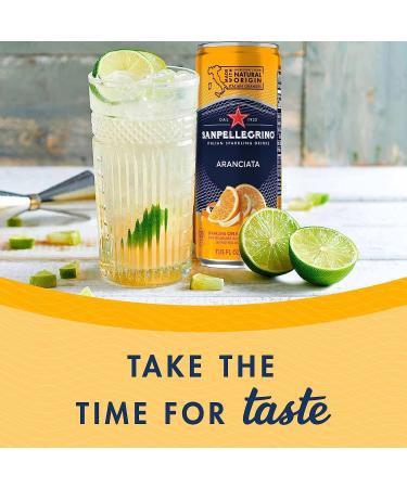  Italian Gourmet E.R. L'Aranciata Lot de 48 bo tes de 330 ml San pellegrino Oranges Limonade Original Orange + Italian Gourmet Pulpa 400 g - Buy Online on GoSupps.com
