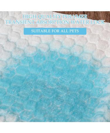 Buy Disposable Incontinence Underlay & Bed Pads - Waterproof 60x90 cm for Babies Kids Adults Seniors (10 Pack) - Buy Online on GoSupps.com