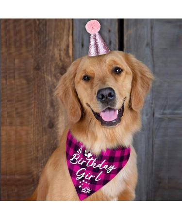 easycozy Classic Pink Plaid Pet Puppy Dog Bandana with Dog Birthday Party Hat Accessories Girl Dog Birthday Bandana Scarf Bibs for Pet Birthday Outfit Party Supplies Set - Buy Online on GoSupps.com